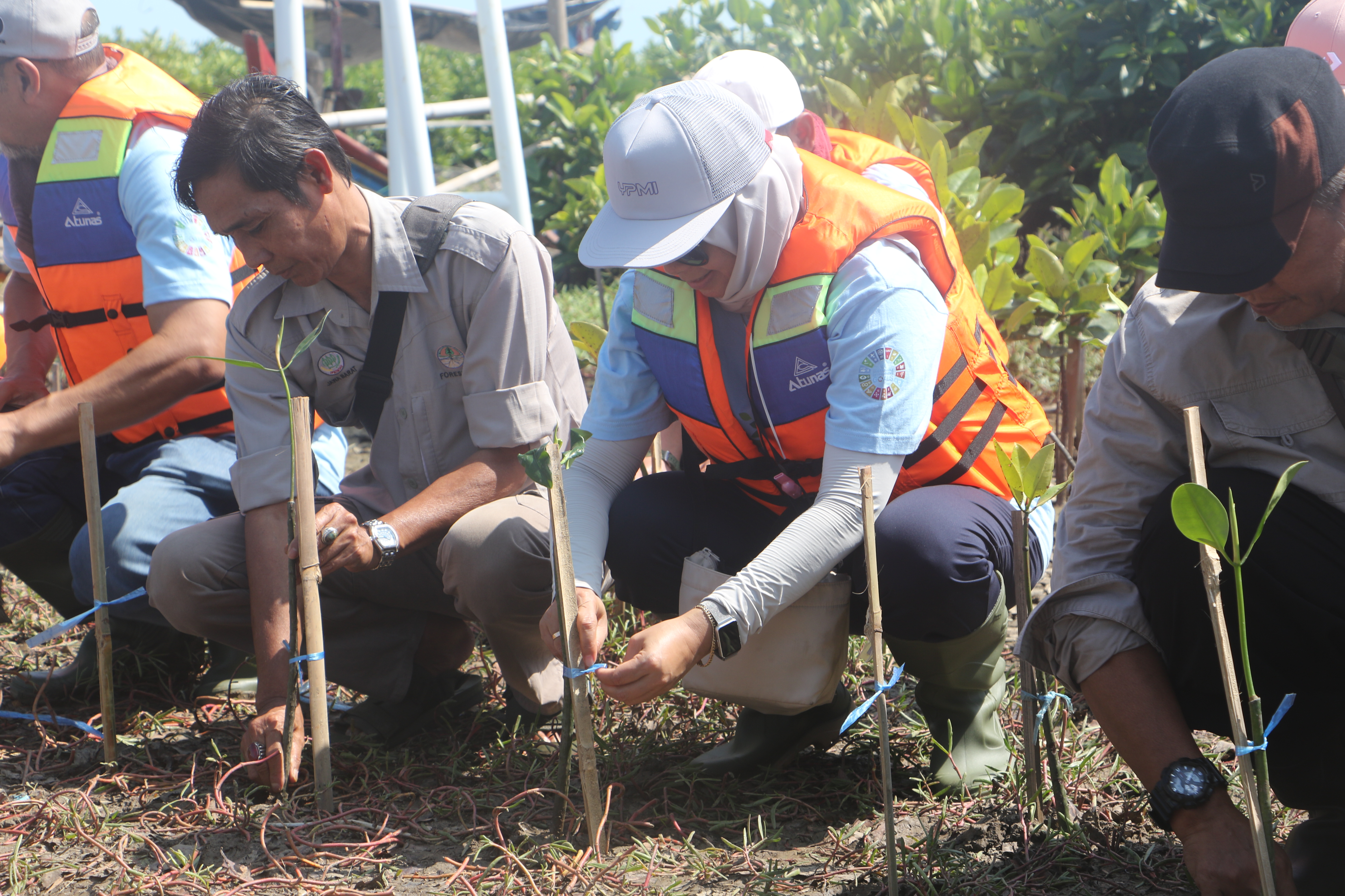 Dari YPMI untuk Bumi: Penanaman Mangrove sebagai Komitmen Lingkungan Berkelanjutan - 4